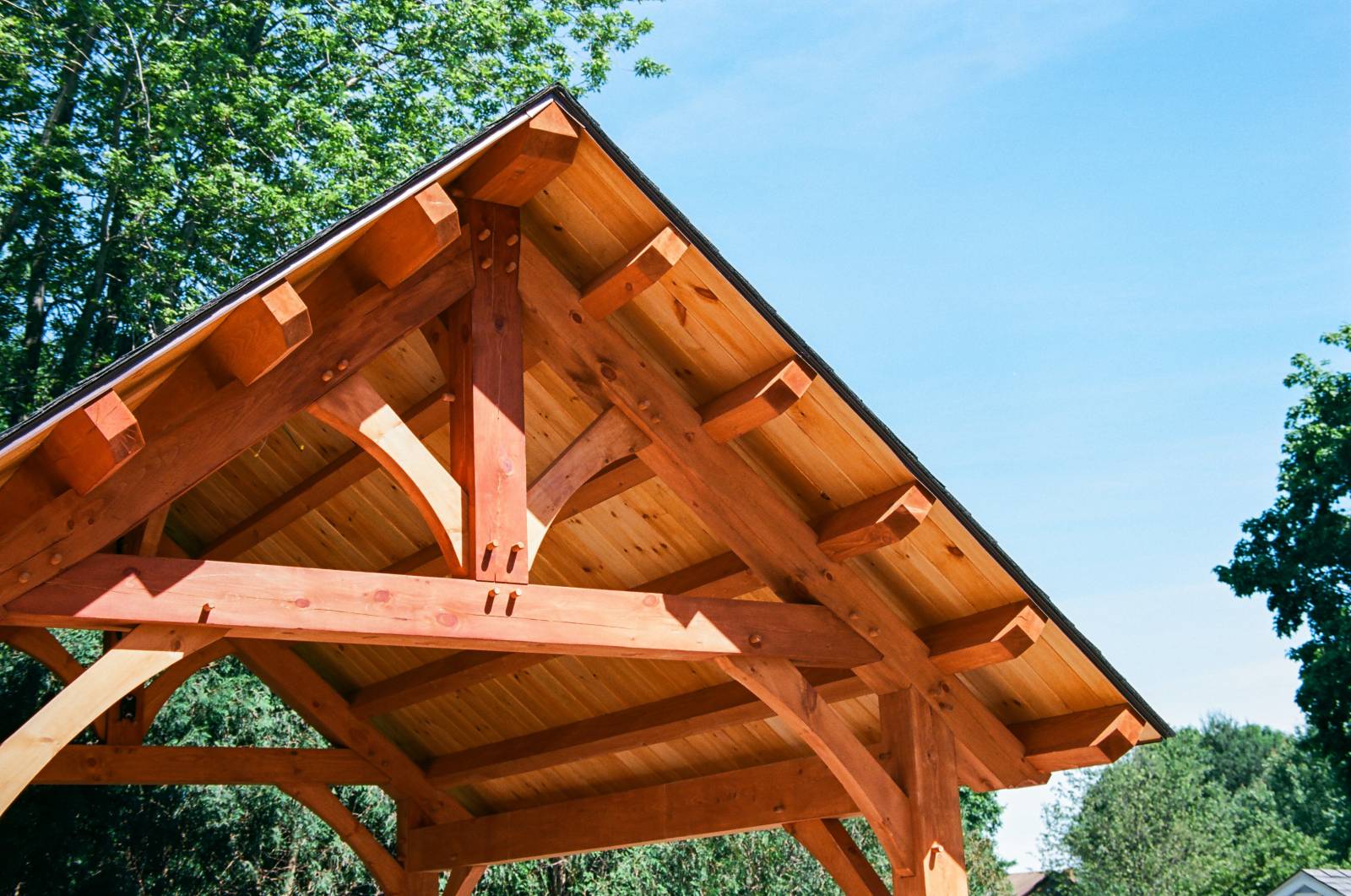 Another view of the common purlins & 1x8 pine v-groove decking in the timber frame pavilion