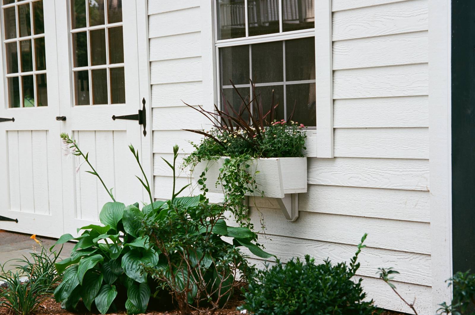 Clapboard LP Smart Siding • 30x36 6/6 Window • Flowerbox