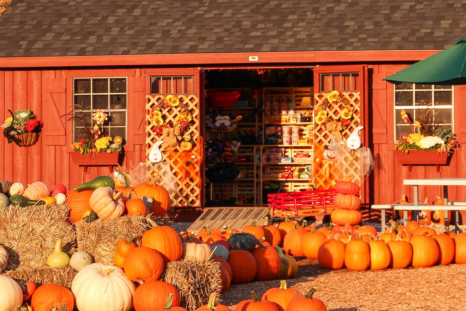 Lil' Red Shed The Barn Yard