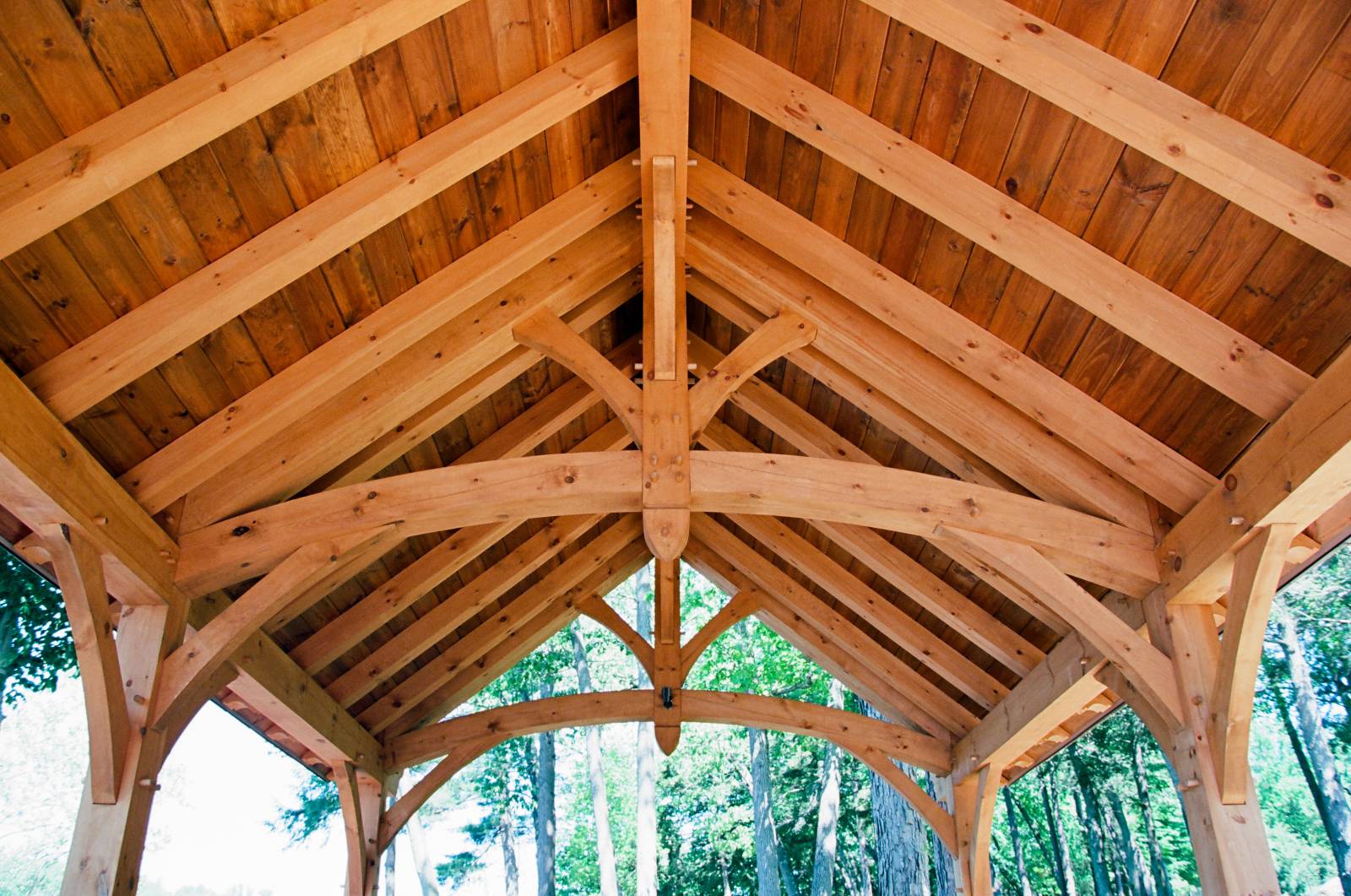 King Post Truss Design with Arched Bottom Chord
