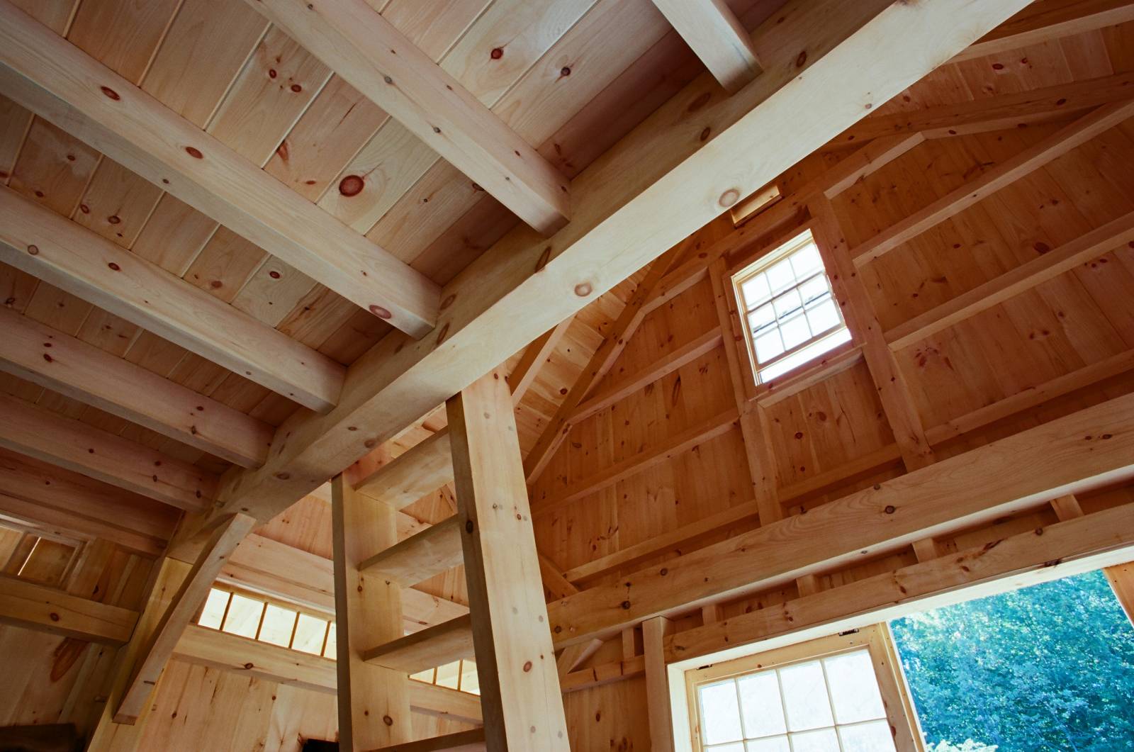 Under the Loft & Timber Ladder