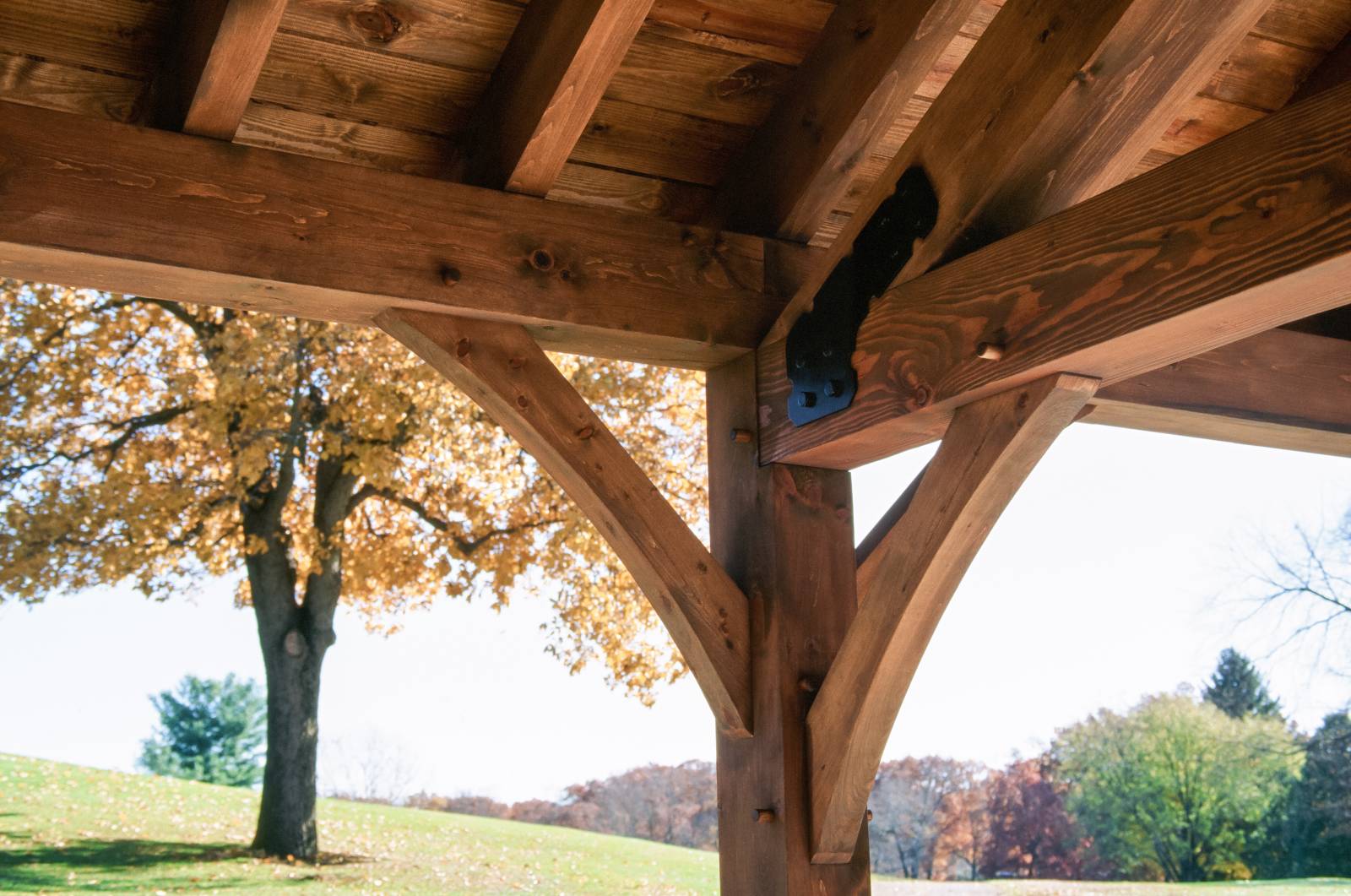 Detail: Timber Frame Joinery and Powder-Coated Steel Gussets