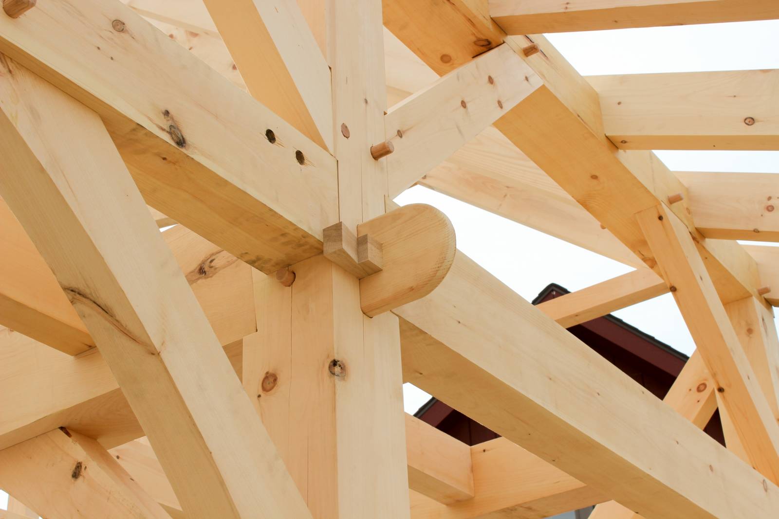 Wedged Anchorbeam Tenon Joinery Actual