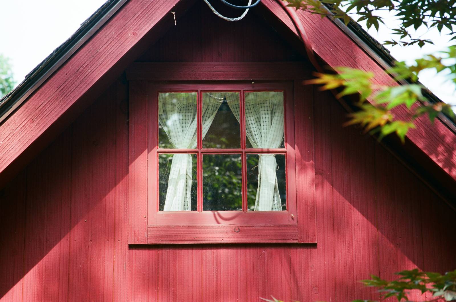 6 Pane Window