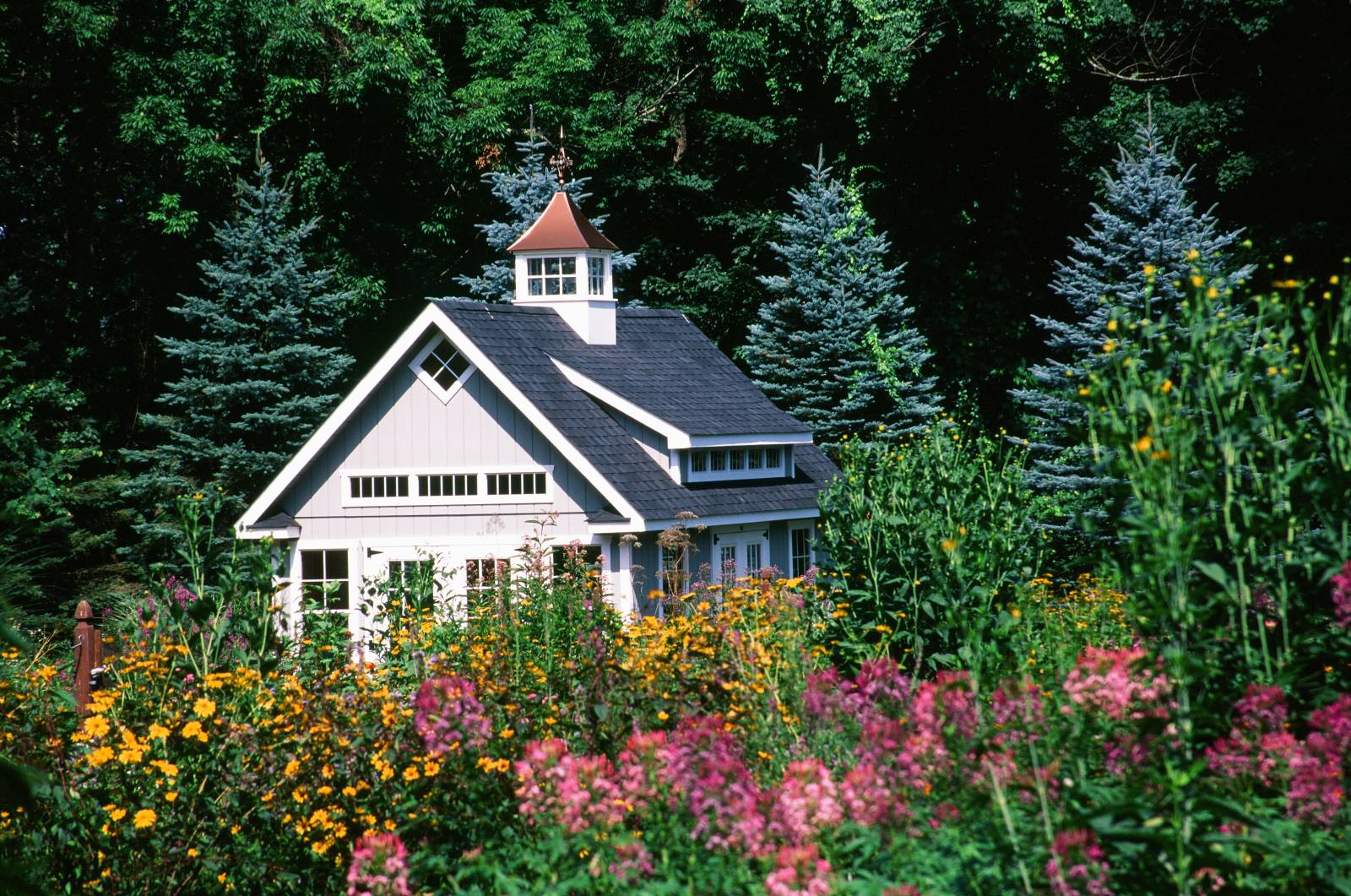 Garden Shed Surrounded by Flowers