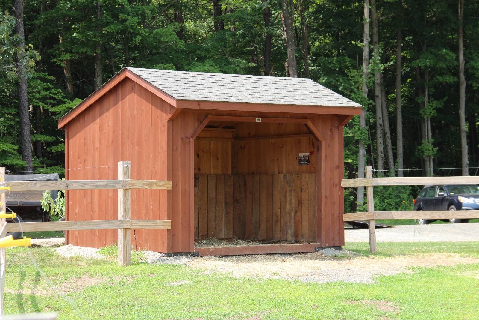 10' x 12' Pine Run-In Shown with Options