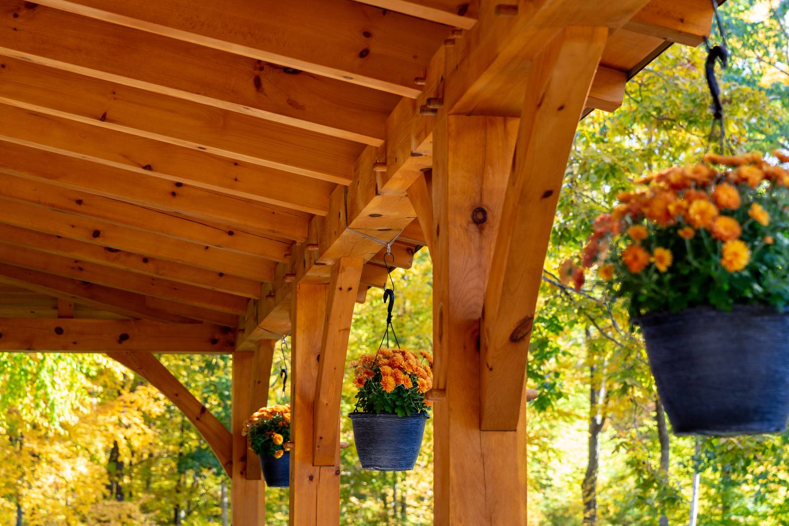 Underneath the Lean-to • Hanging Plants Add Some Color