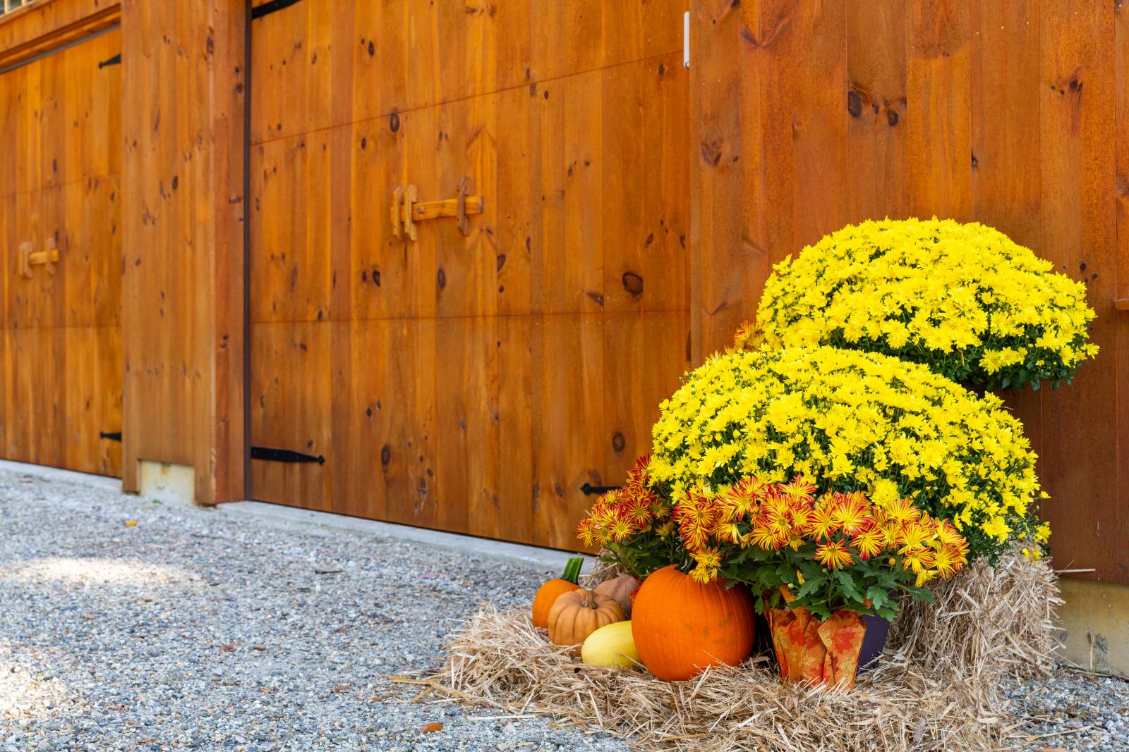 Fall Decor Stands Out Against the Warm Pine Siding & Overhead Doors