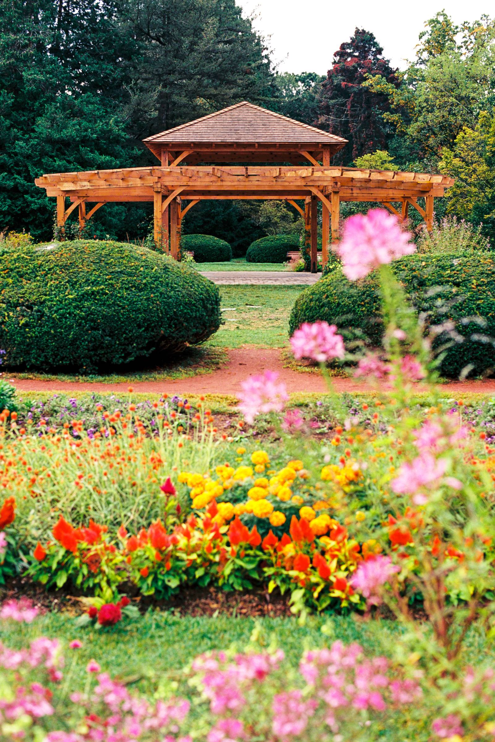 The Gazebo with Flowers in Bloom