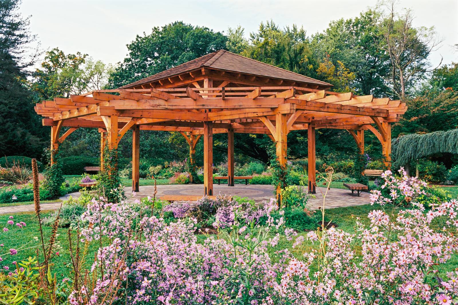 Western Red Cedar Timbers