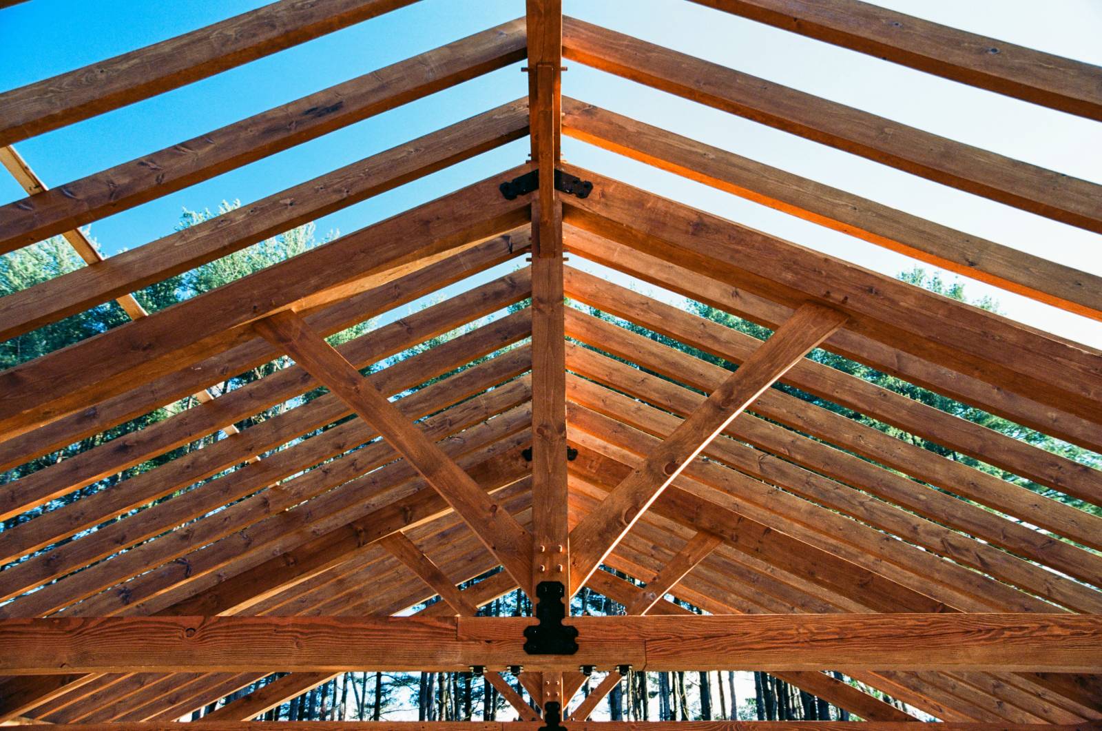 Looking through the rafters • Post & beam pavilion