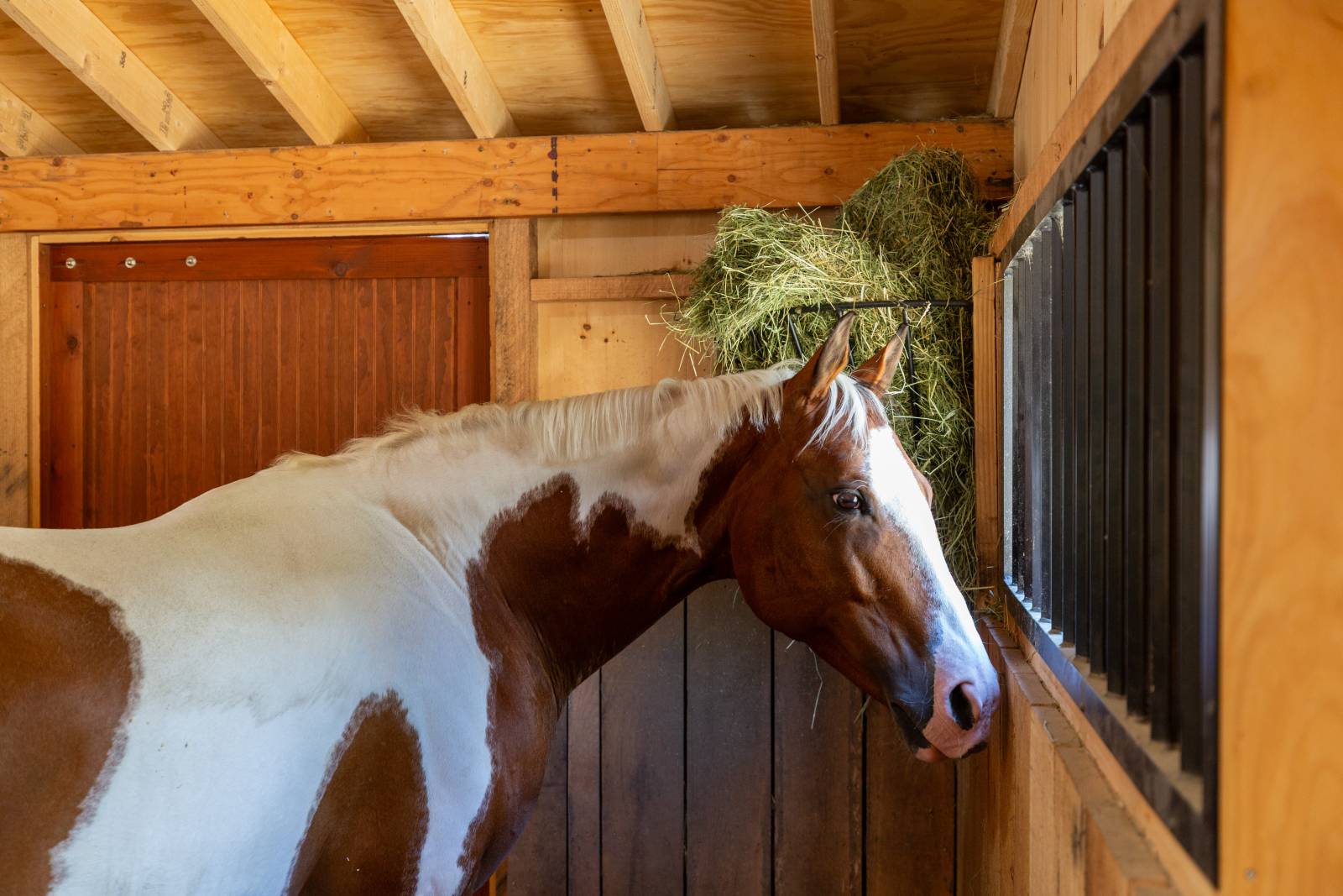 Bring your horses home with a high-quality horse barn from The Barn Yard
