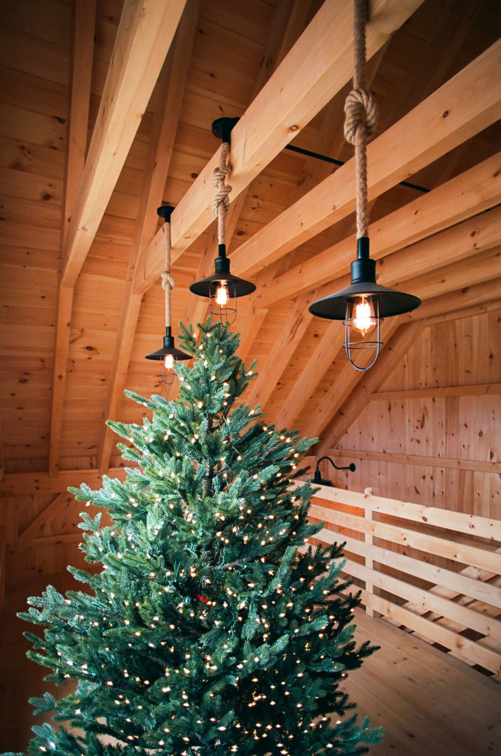 A tree in the loft of the post & beam barn with rope pendant lights above