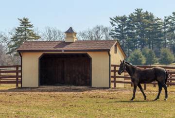 12' x 20' Run-In Horse Barn, Somers, CT