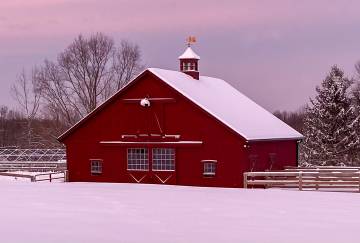Sutton Center Aisle Horse Barn | The Barn Yard