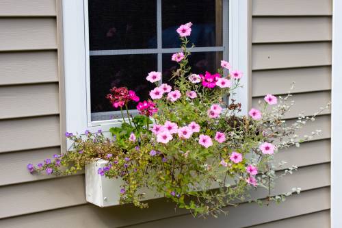 Vinyl Flower Box on Traditional Cape