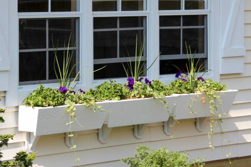 Victorian Cottage with 3 Flower Boxes