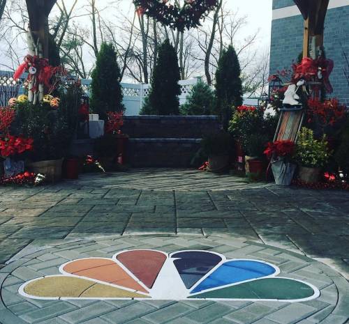 NBC logo set in stone