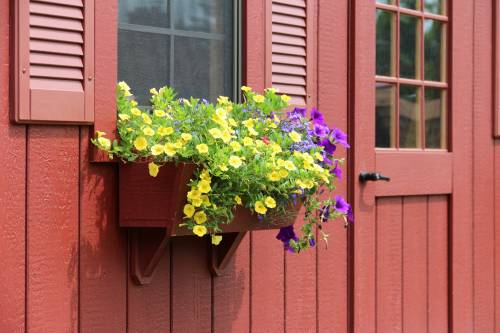 Classic Cape with Flower Box