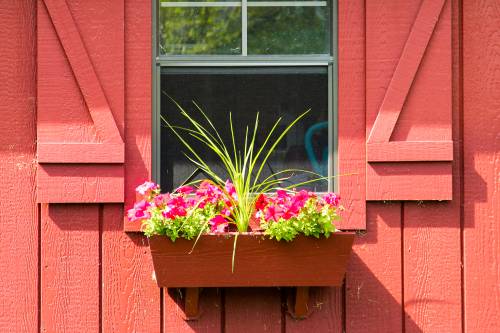 Victorian Cape + Flower Box