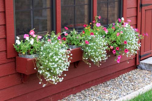 Grand Victorian Overflowing with Flowers