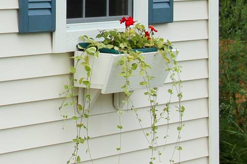 Classic Dutch & Flower Box