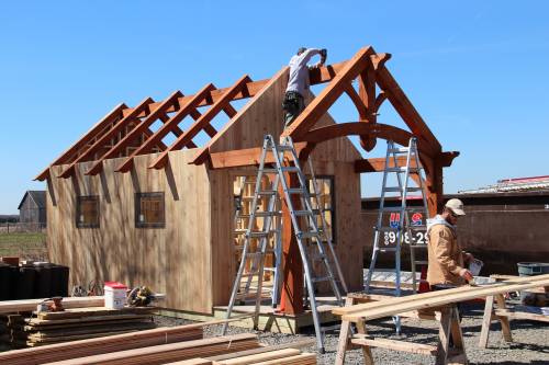 Raising the Timbers