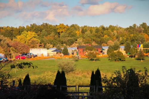 See the lil' red shed?