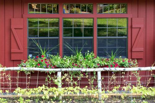 Grand Victorian with Flower Boxes & Garden