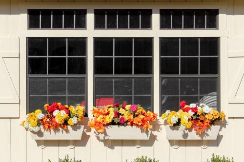 Grand Victorian with Bright Flower Boxes