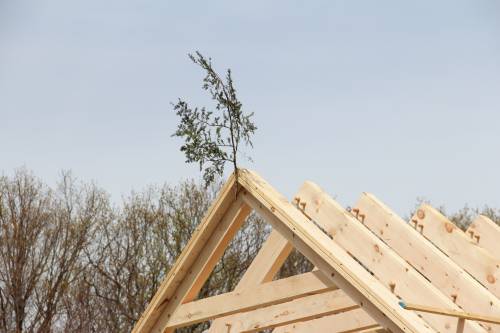 Topping out the timber frame for good luck