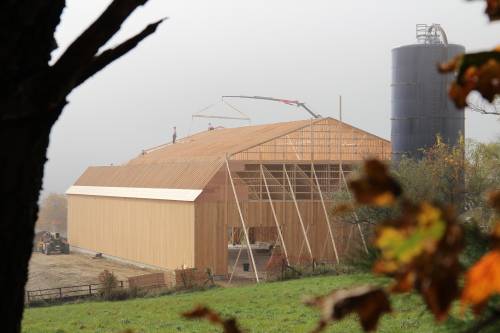 The barn emerges from the morning fog