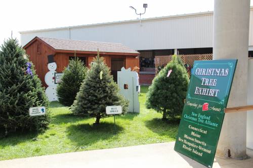 Horse Barn at the Christmas tree display