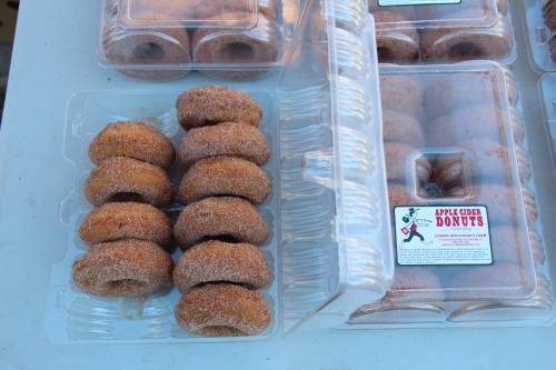 Apple cider donuts