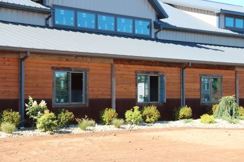 Plants around the front of the building