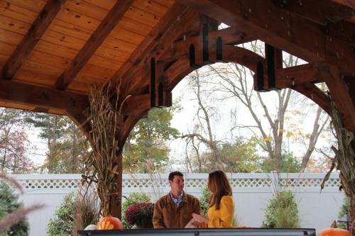 Discussing the design of the pavilion
