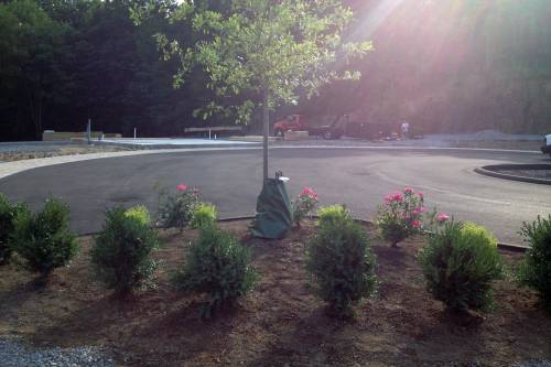 Landscaping close-up