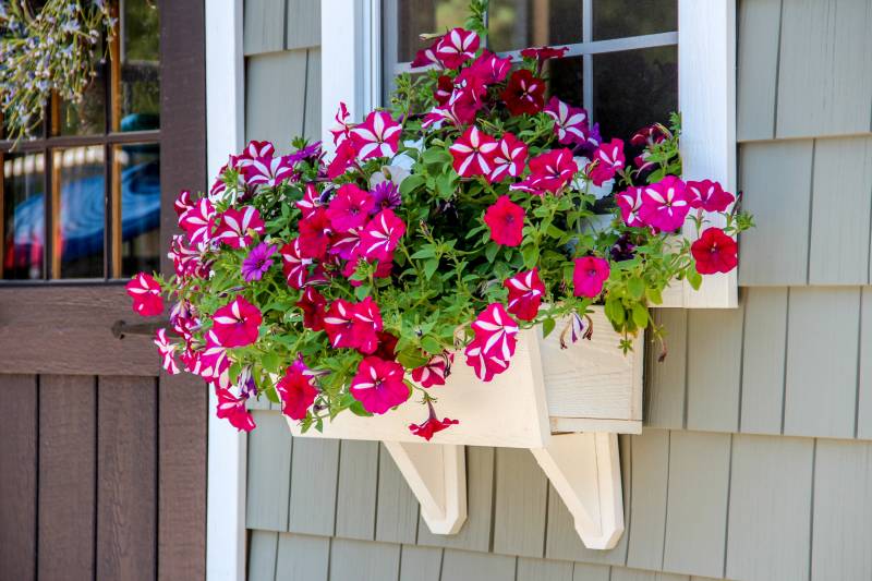 Flower Box on Victorian Quaker