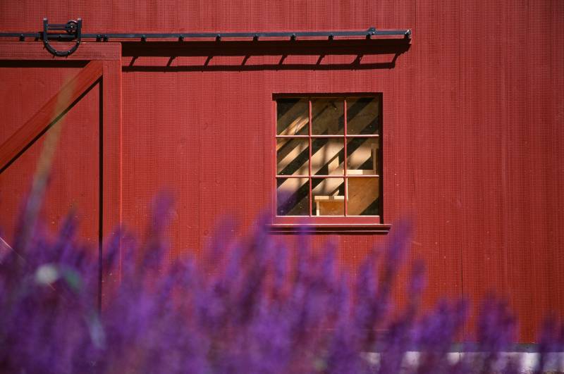 Timber stairway seen through the sash window