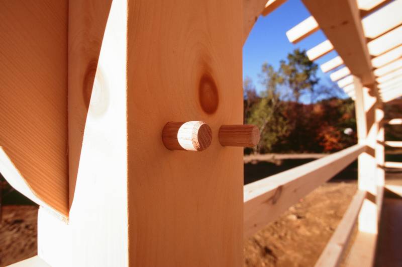 Oak pegs close-up