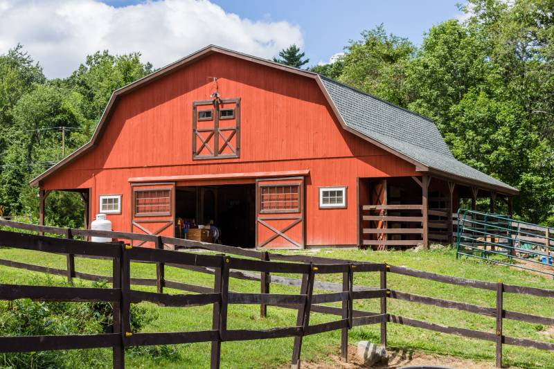 26' x 40' Patriot Horse Barn with Double Open Lean-To Roof Overhangs