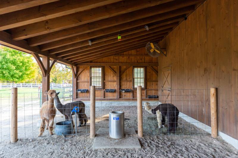 32' x 48' Plymouth Carriage Barn with 18' Open Lean-To, North Granby, CT