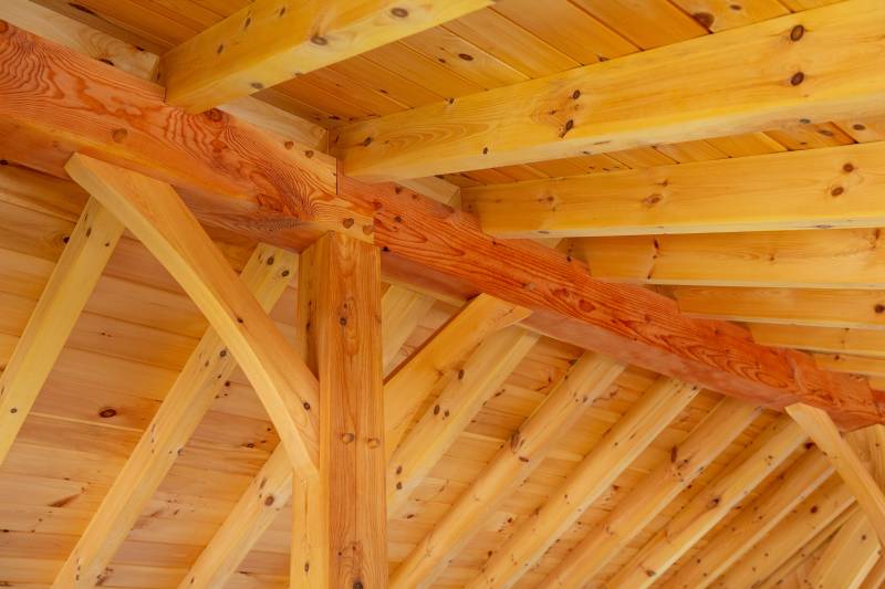 Douglas Fir Ridge Beam • Eastern White Pine Rafters