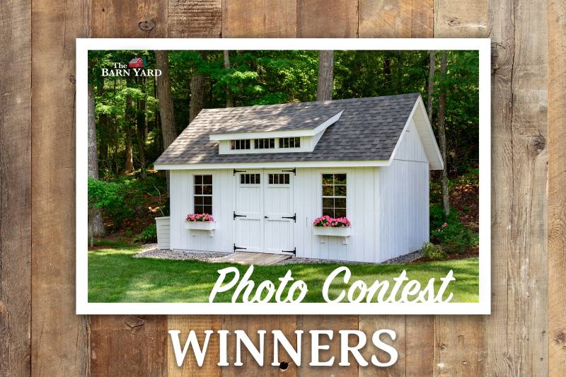 Photo Contest Spring 2025 Winners