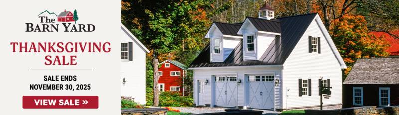 Thanksgiving Sale 2025