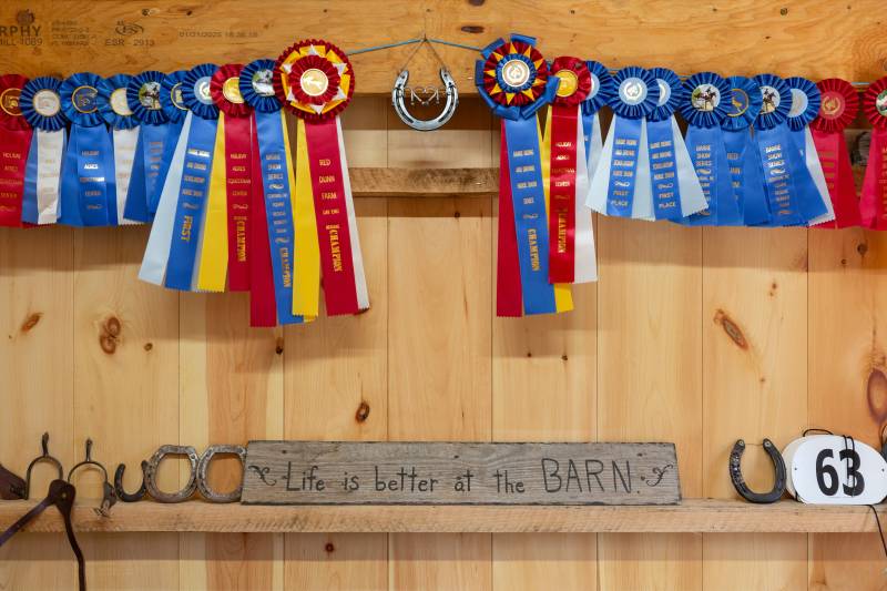 Life is better at the barn