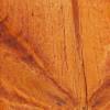 Redwood Stain Color