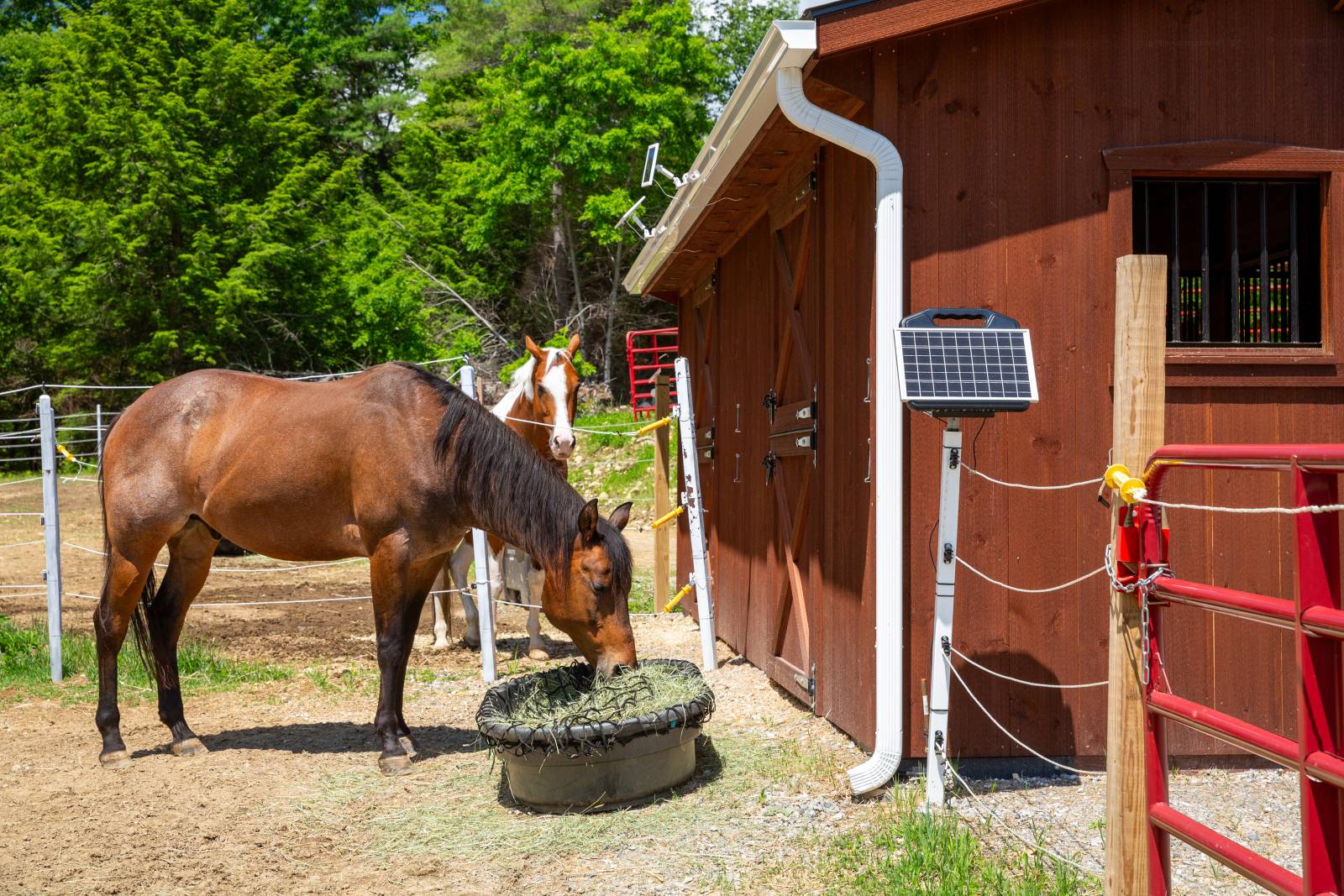 Dutch doors open to let the horses into their stalls