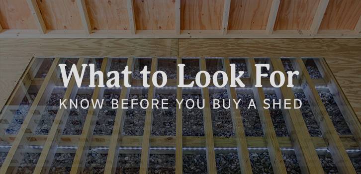 What to Look For