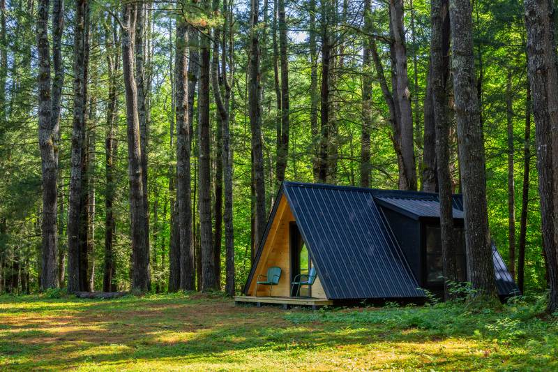 Immerse yourself in nature within this post & beam cabin